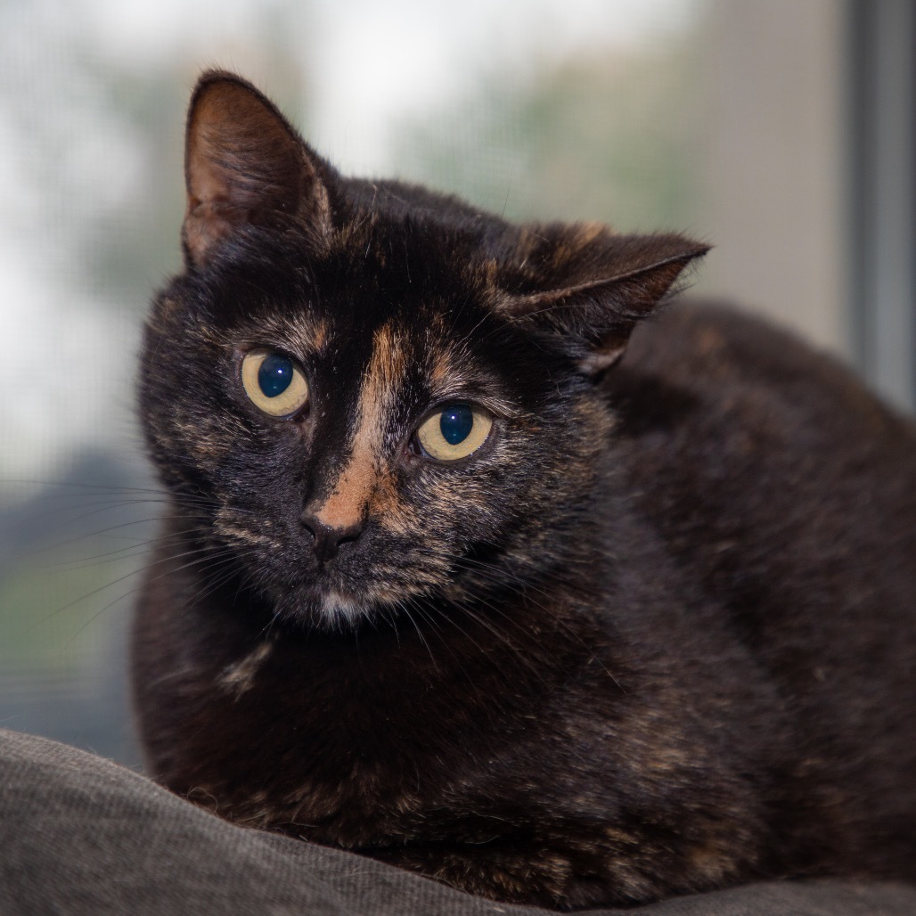 Coco