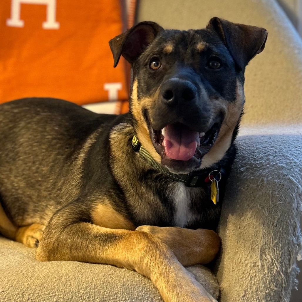 Ryder