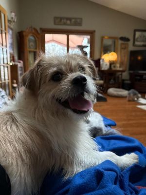 Fiyero
