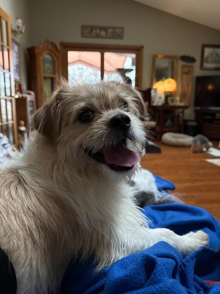 Fiyero
