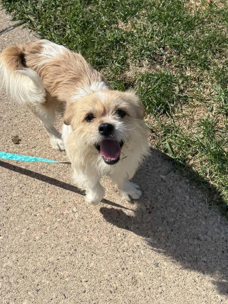 Fiyero