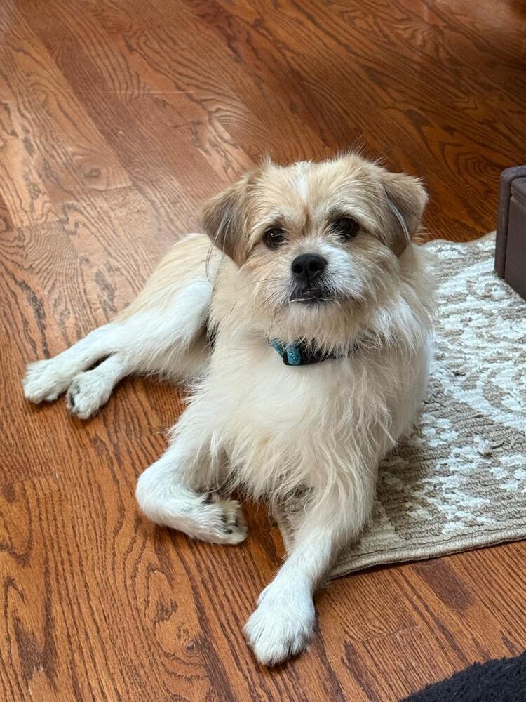 Fiyero