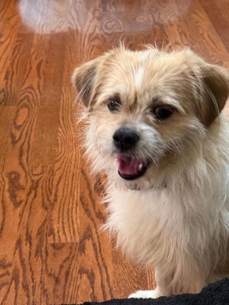 Fiyero