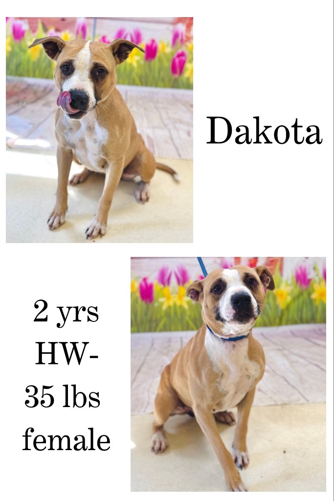 Dakota