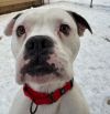 Zeus photo 4