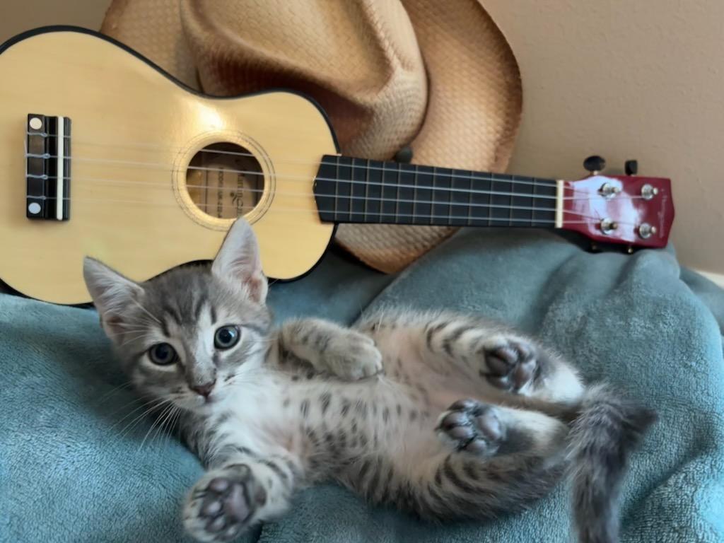 Benji