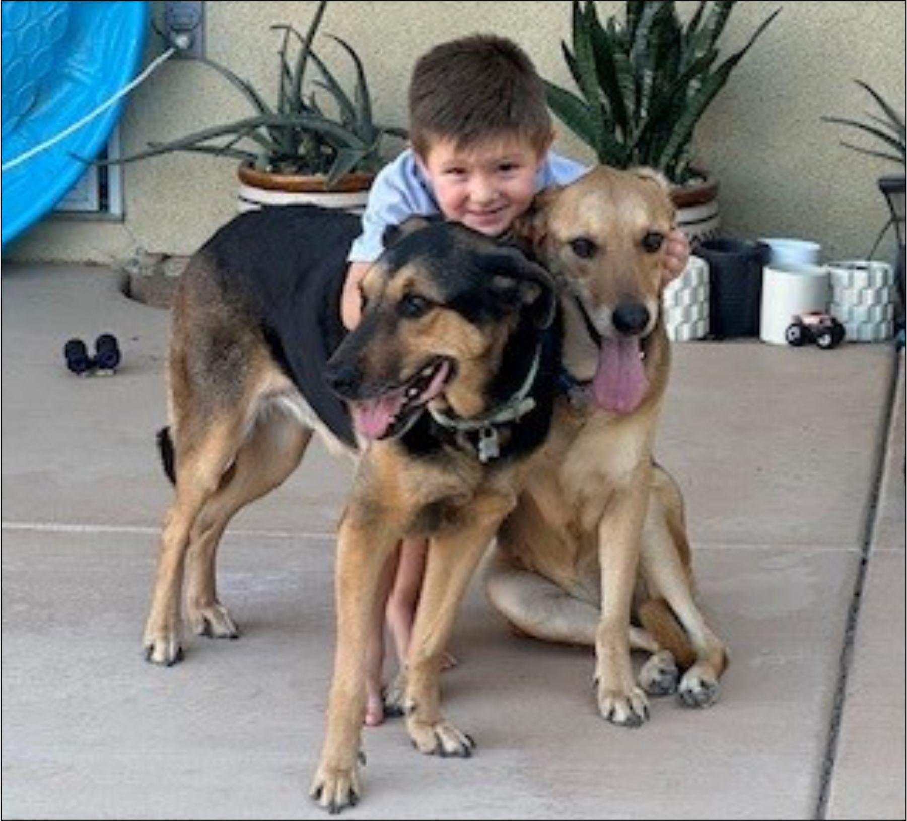 Bonnie and Stella- BONDED