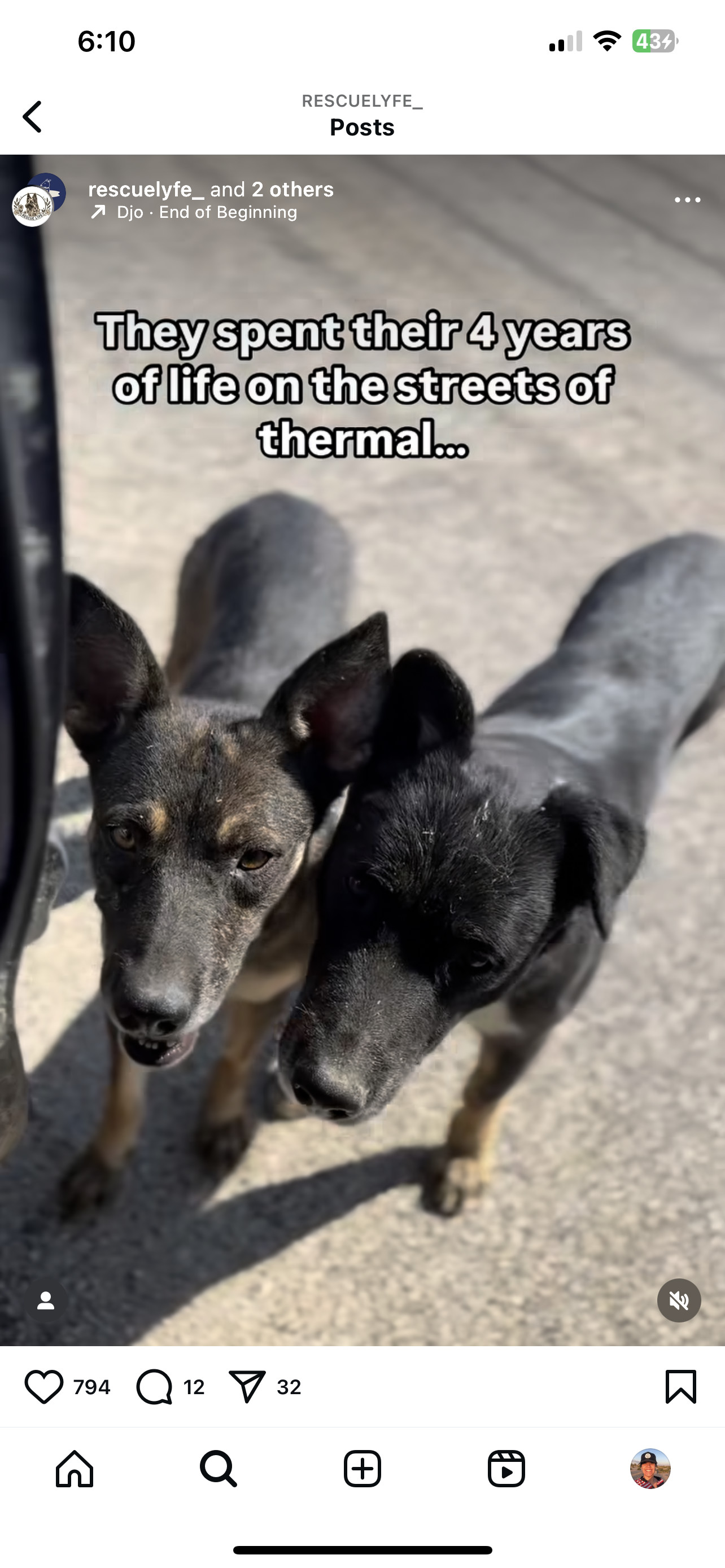 Groot and Zaya- BONDED