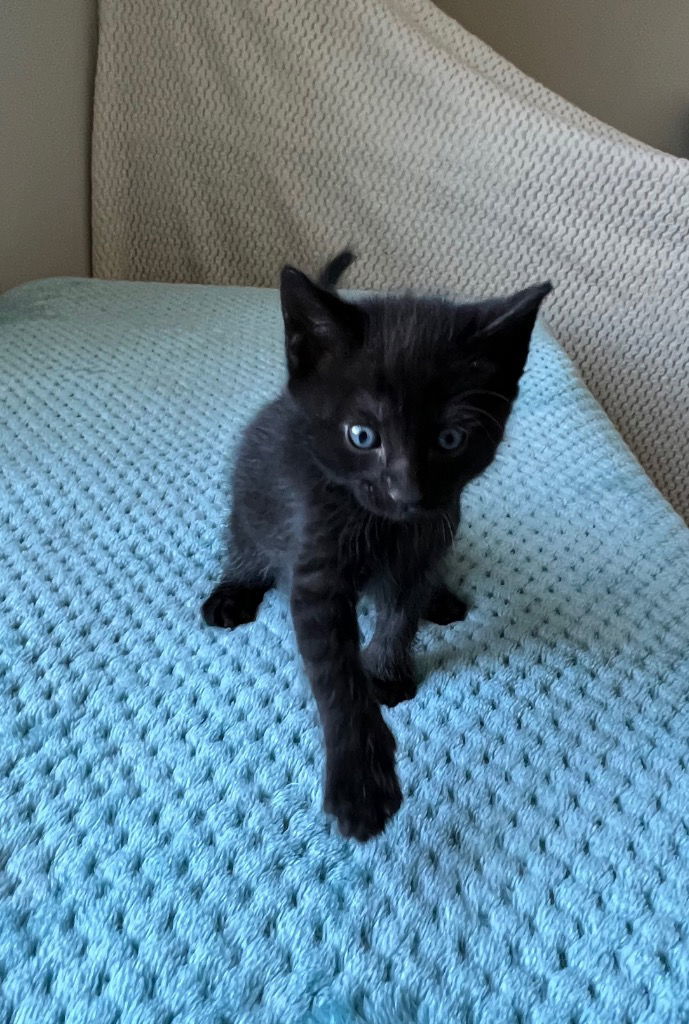 Cinder