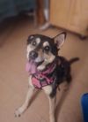 Betty photo 8