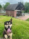 Betty photo 10