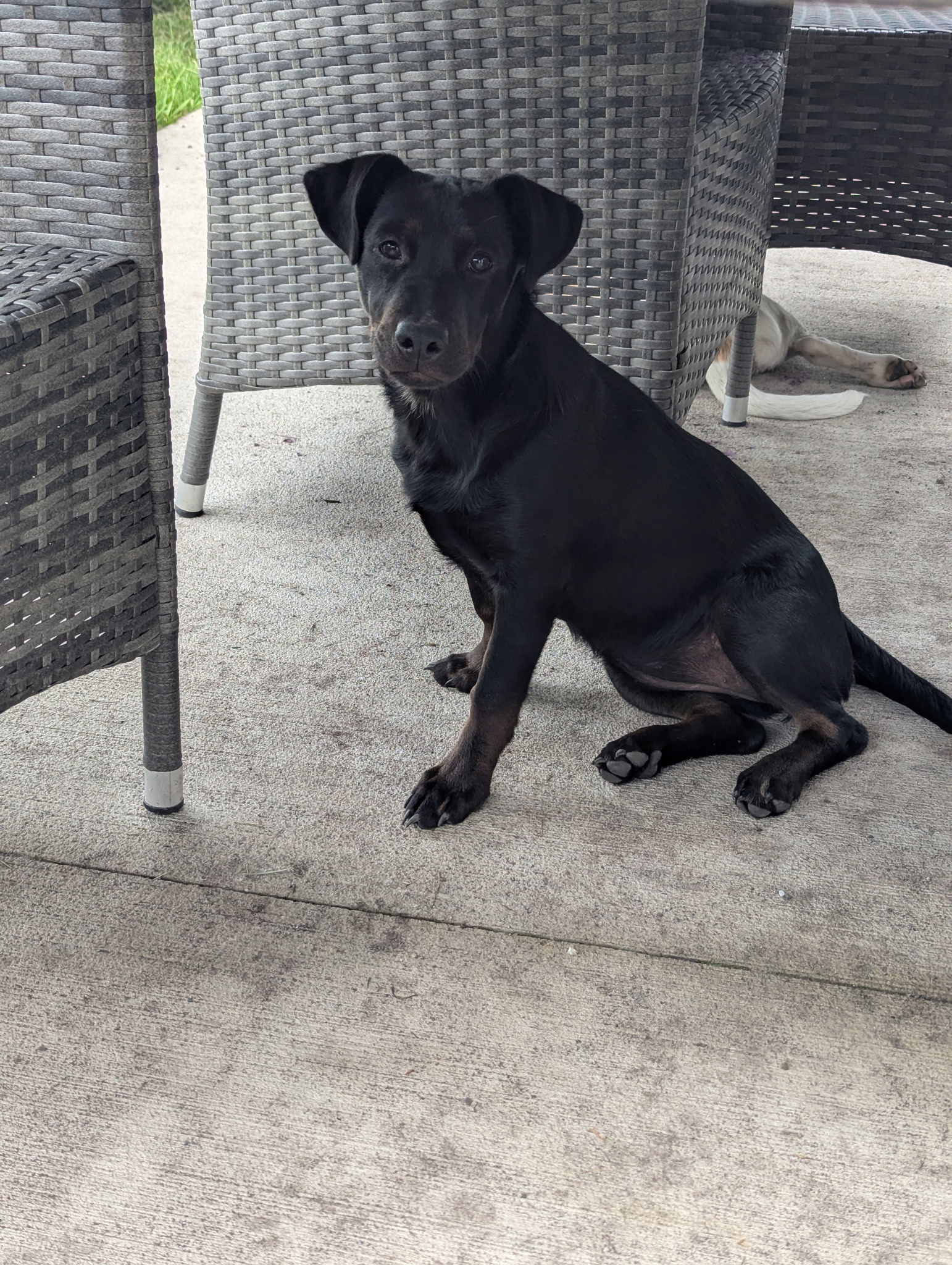 Prue
