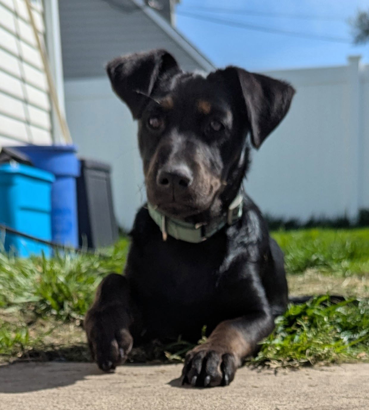 Prue