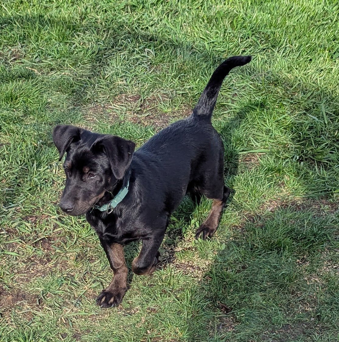 Prue