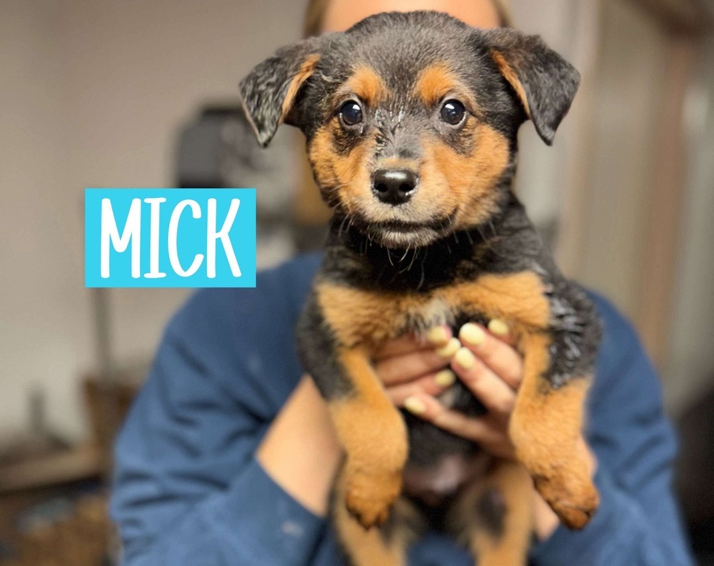 MICK