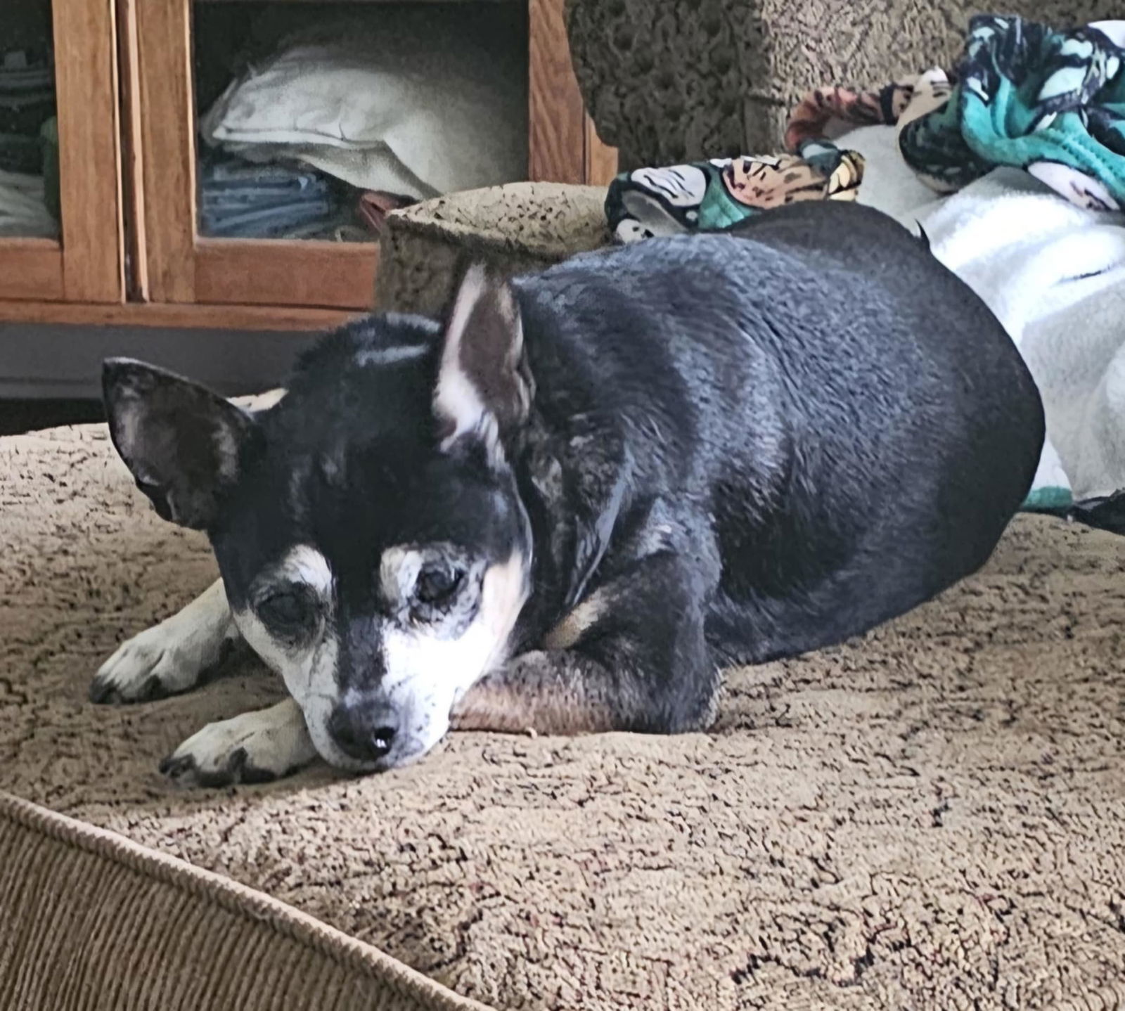 PACO