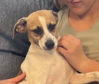 Elliot-adoption pending