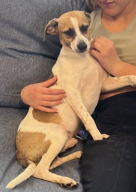 Elliot-adoption pending