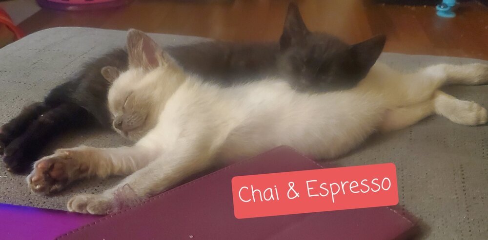 Expresso
