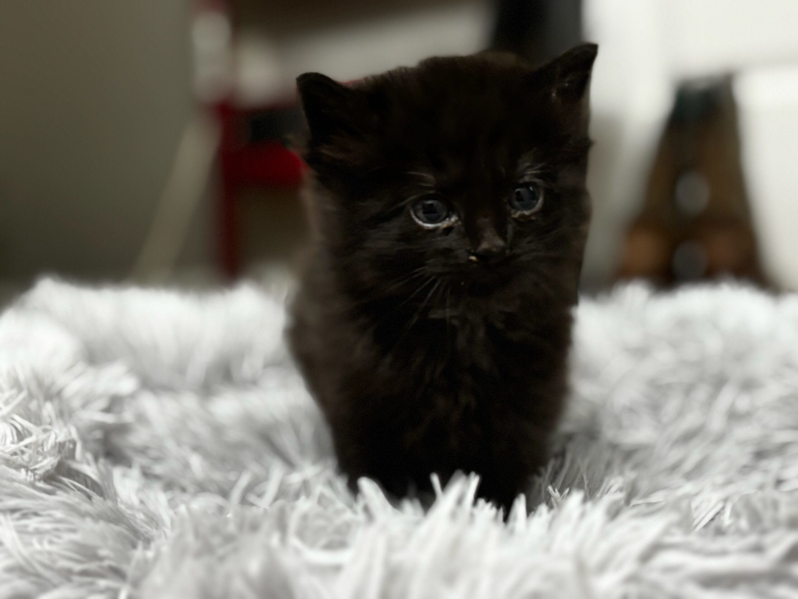 Onyx
