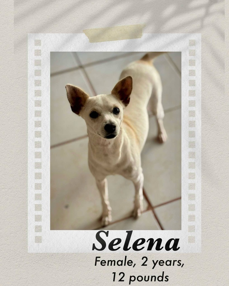 Selena