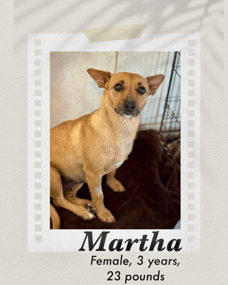 Martha