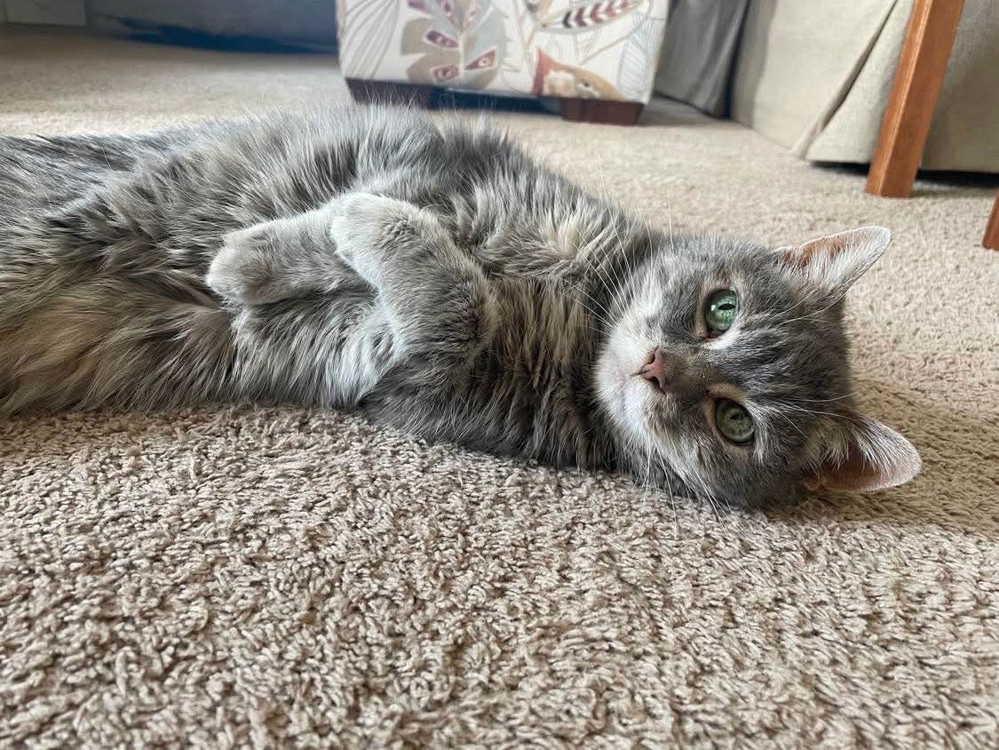 Mika