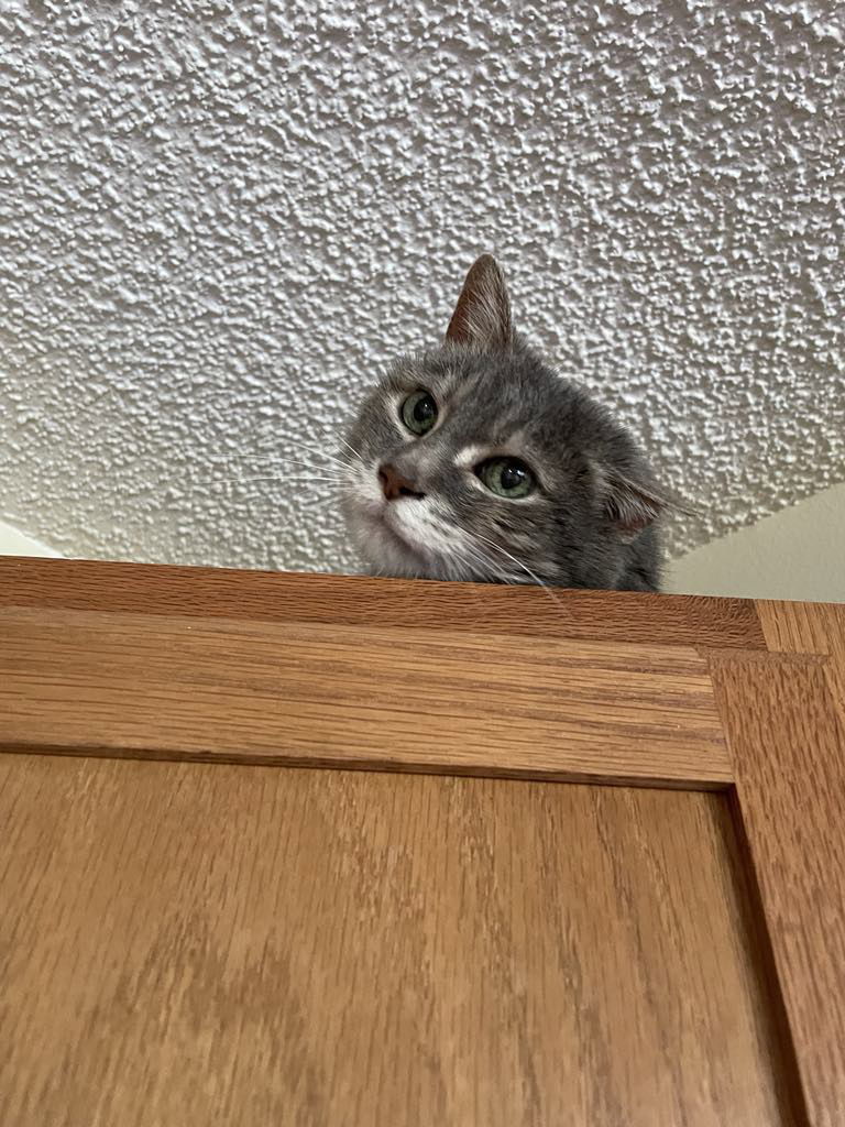 Mika