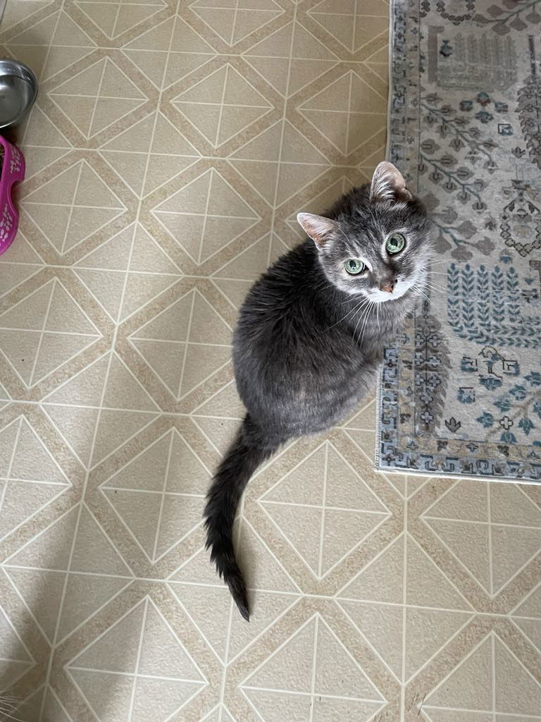 Mika