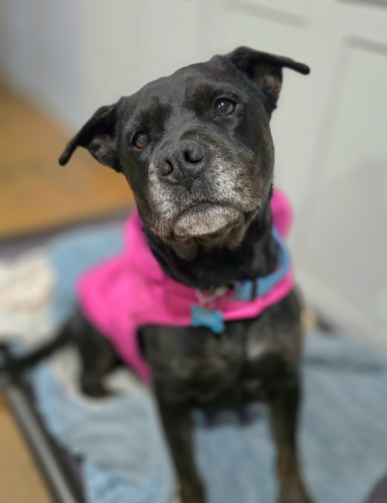 Lola