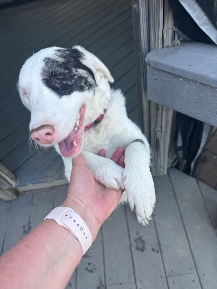 NALA