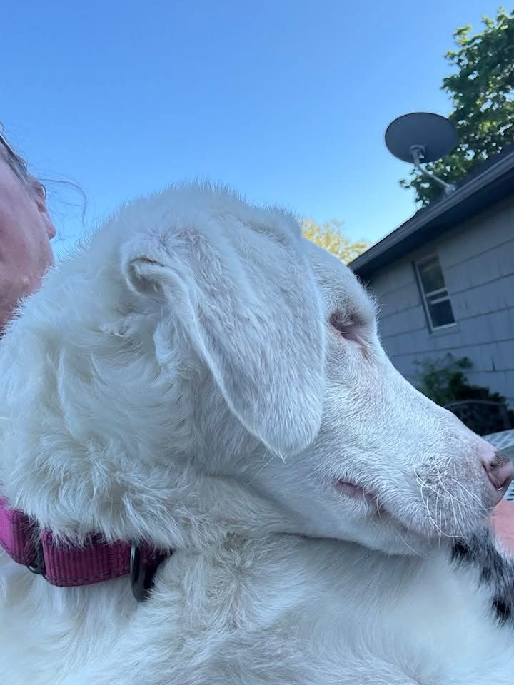 NALA