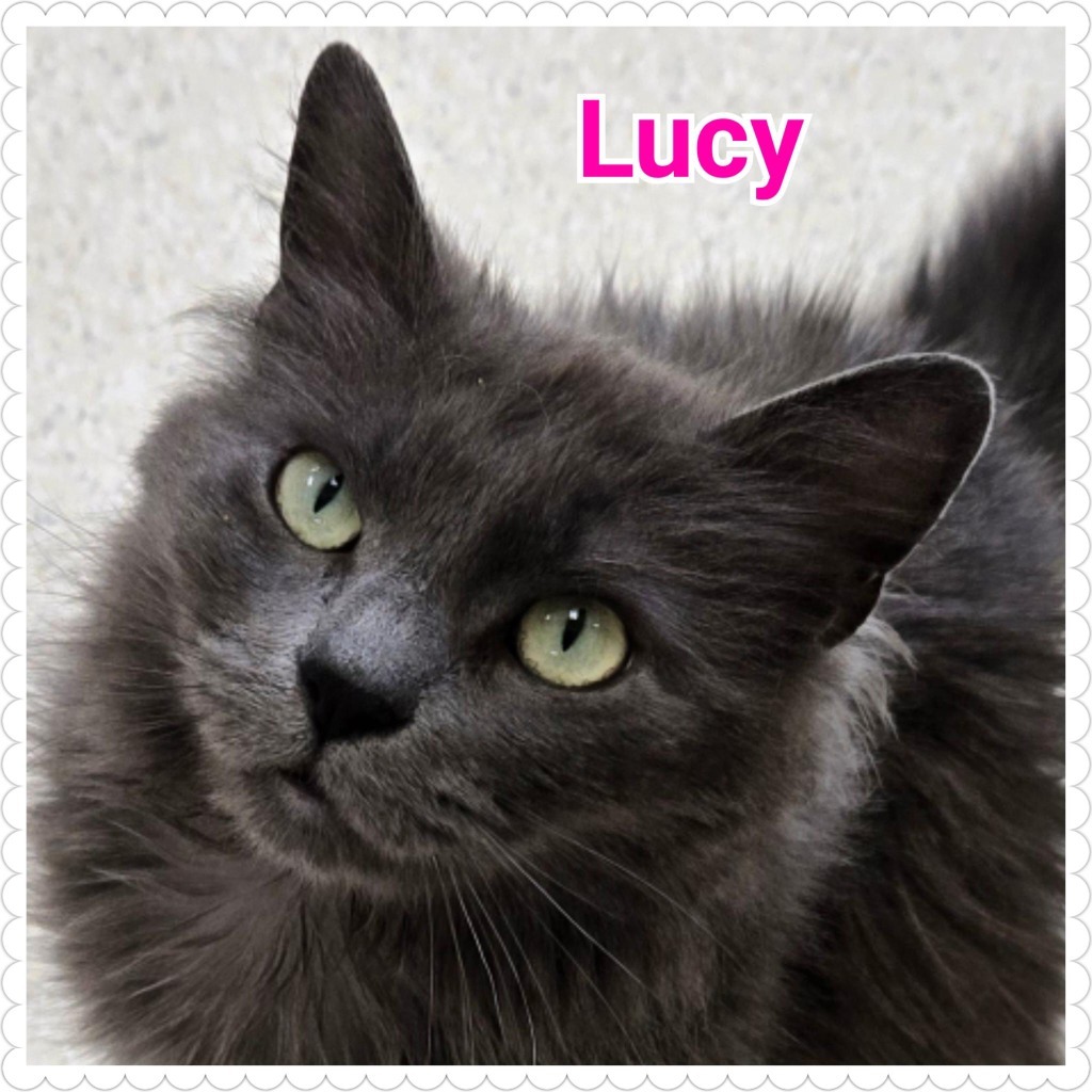 Lucy (2)
