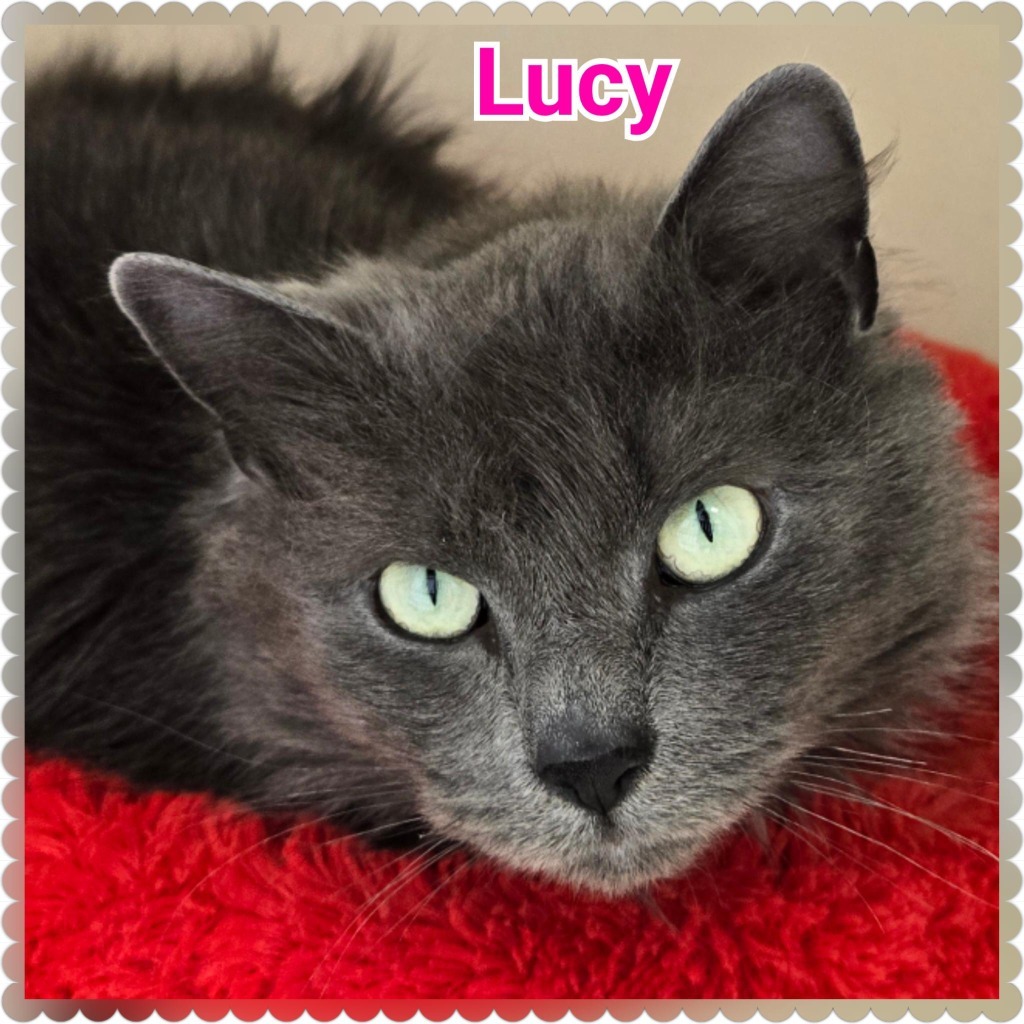 Lucy (2)