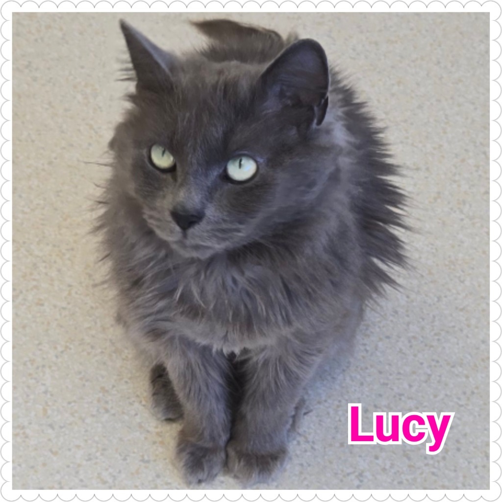 Lucy (2)