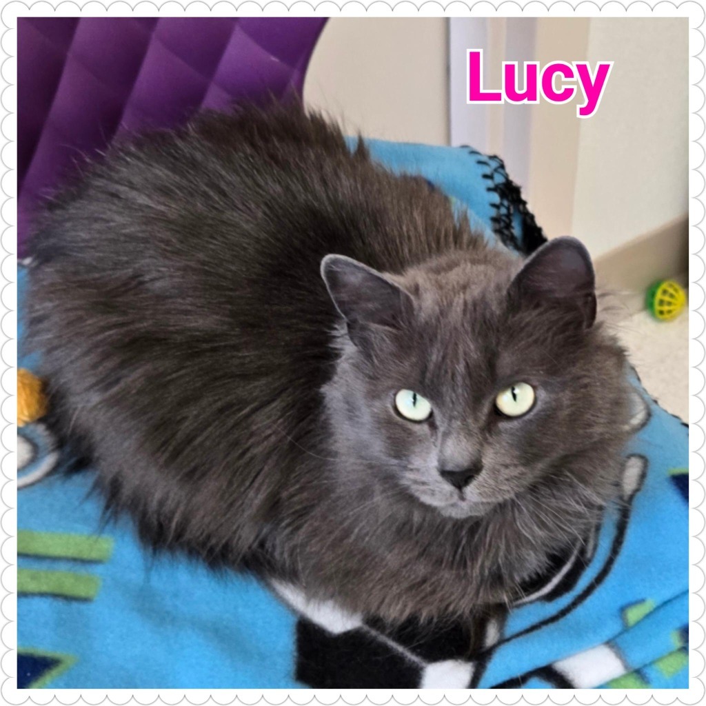 Lucy (2)