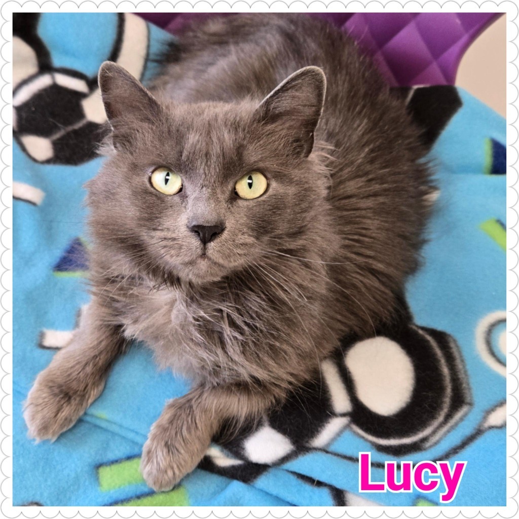 Lucy (2)