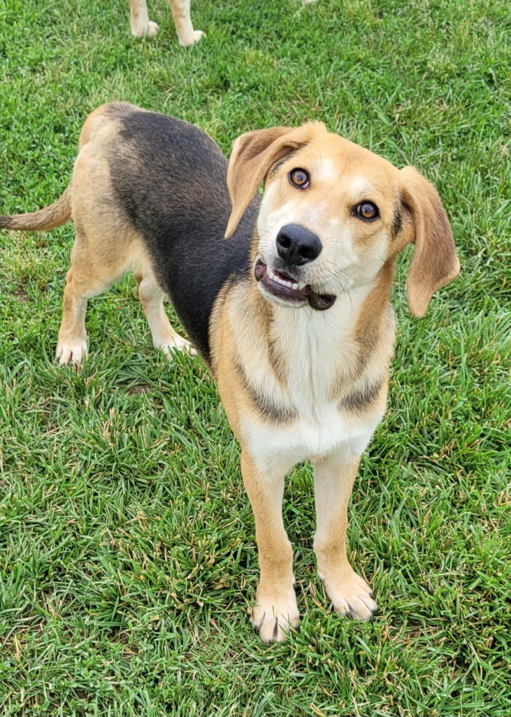 Kaya