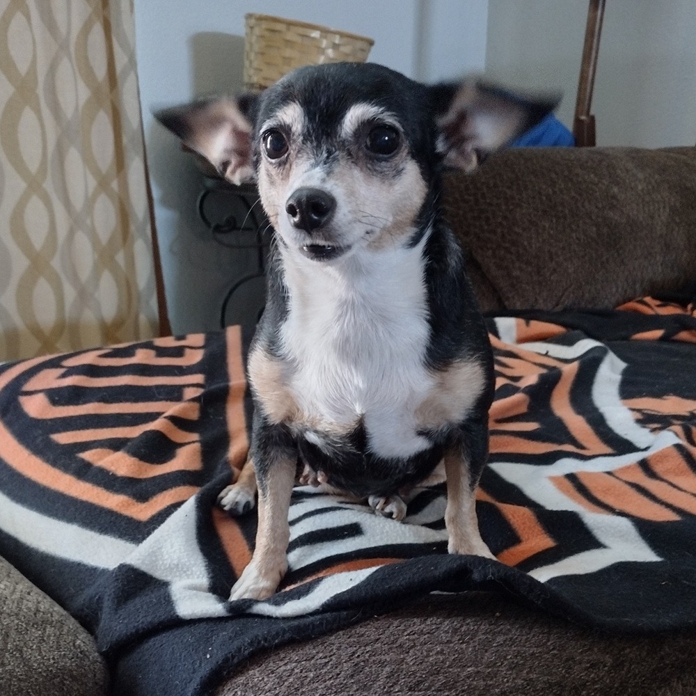 Molly