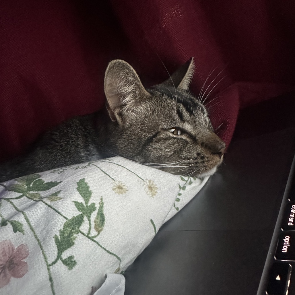 Rafael