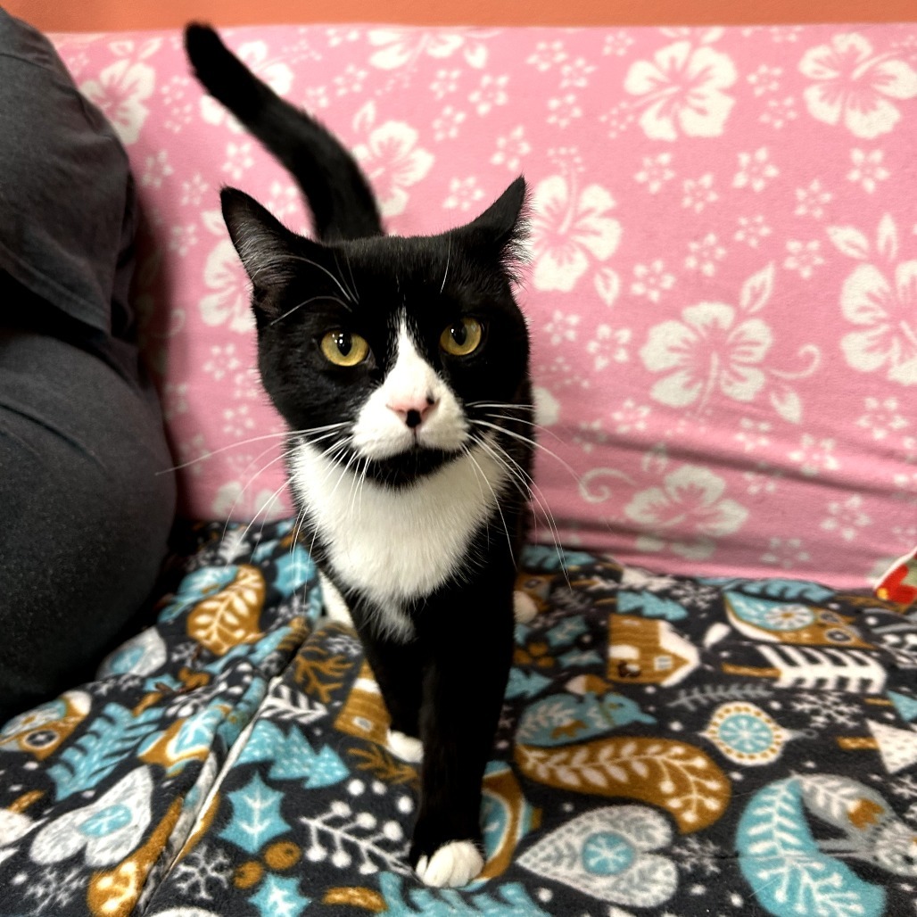 Turnip - Friendly & Sweet Girl!