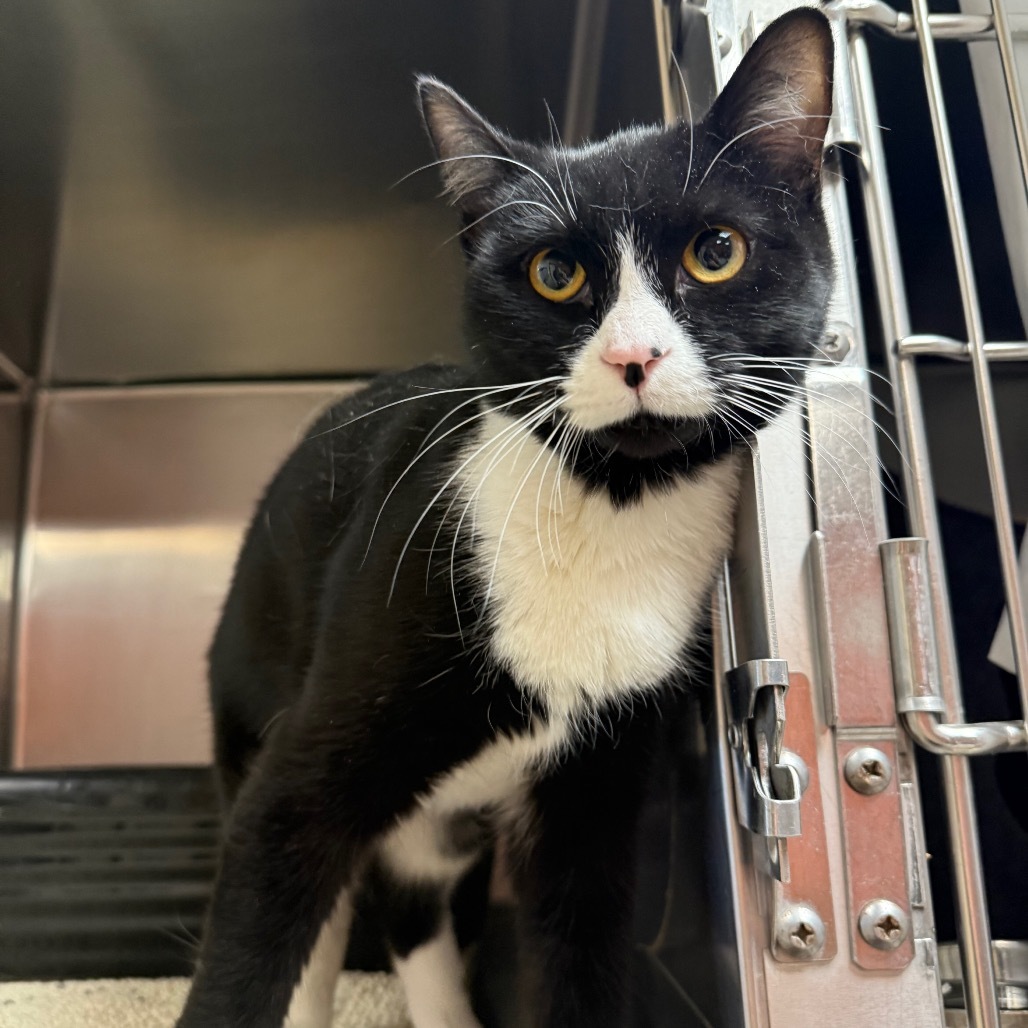 Turnip - Friendly & Sweet Girl!