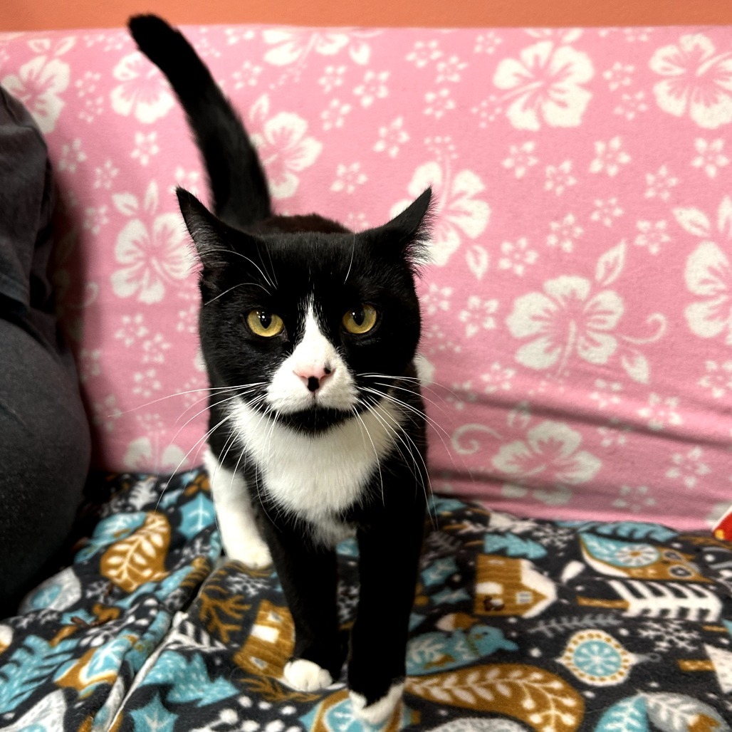 Turnip - Friendly & Sweet Girl!