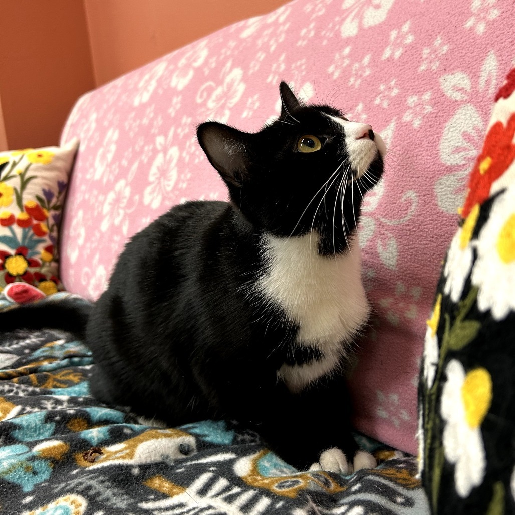 Turnip - Friendly & Sweet Girl!