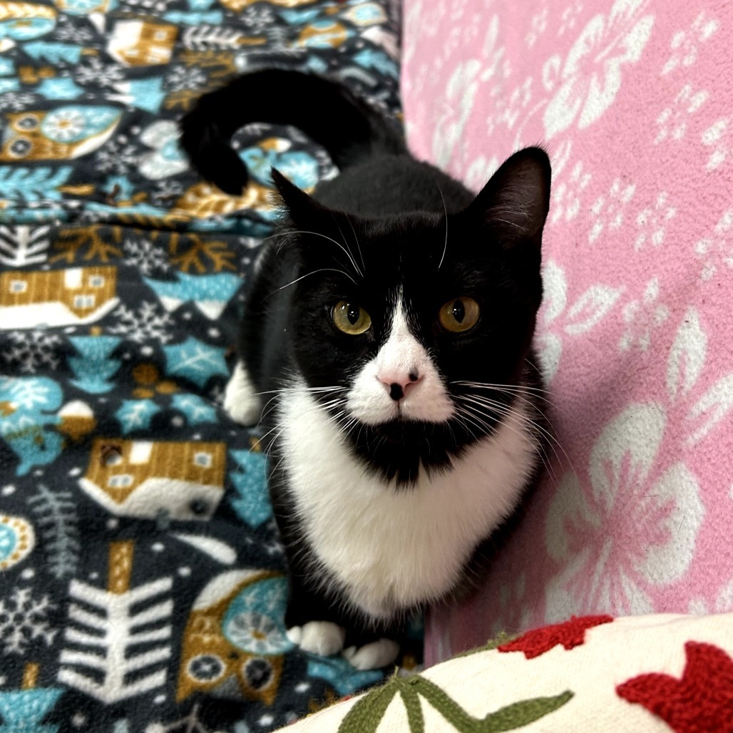 Turnip - Friendly & Sweet Girl!