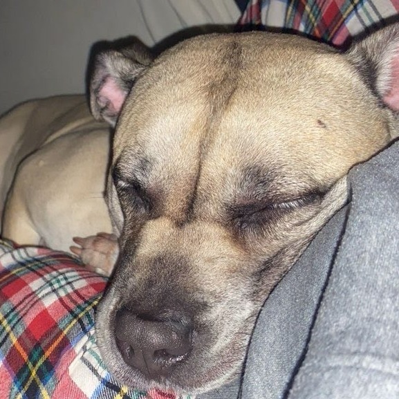Kali