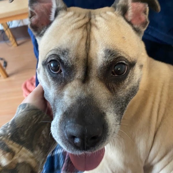 Kali