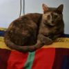 1122-07 Birdie (fka Michelle) photo 1