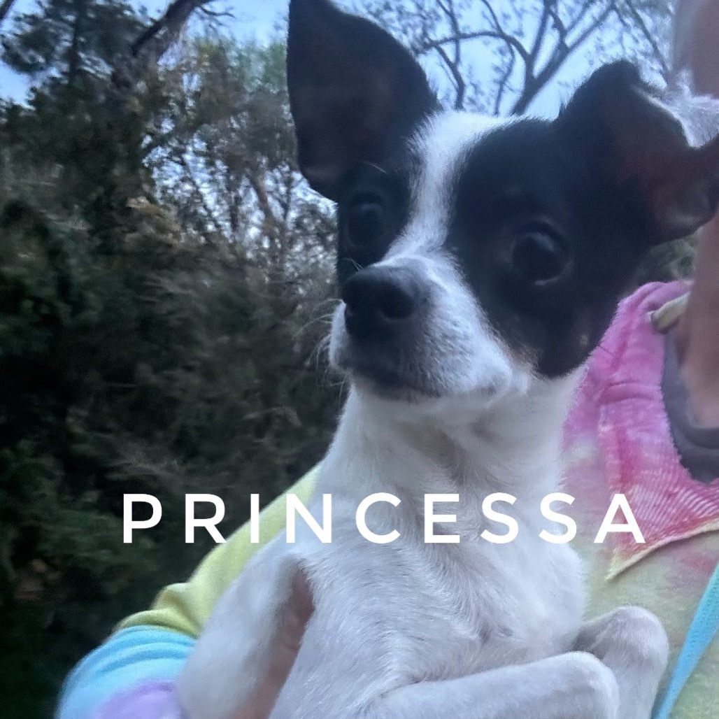 Princessa