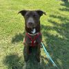 Oso photo 6